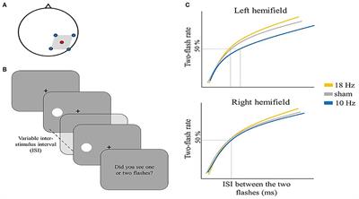 Binding Mechanisms in Visual Perception and Their Link With Neural Oscillations: A Review of Evidence From tACS